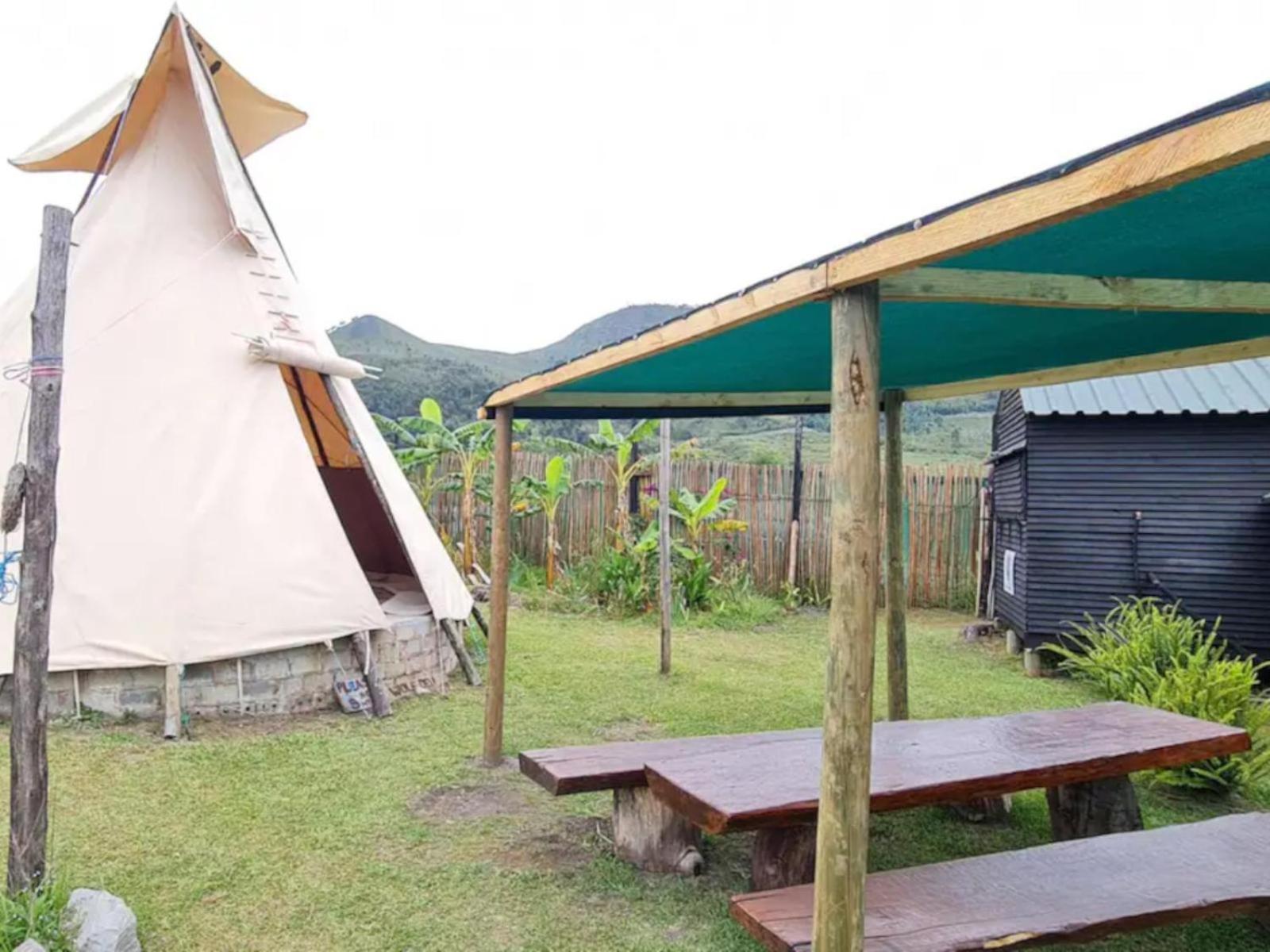 Tsitsikamma Wolf Sanctuary Eco Cabins & Teepees Stormsrivier Exterior foto