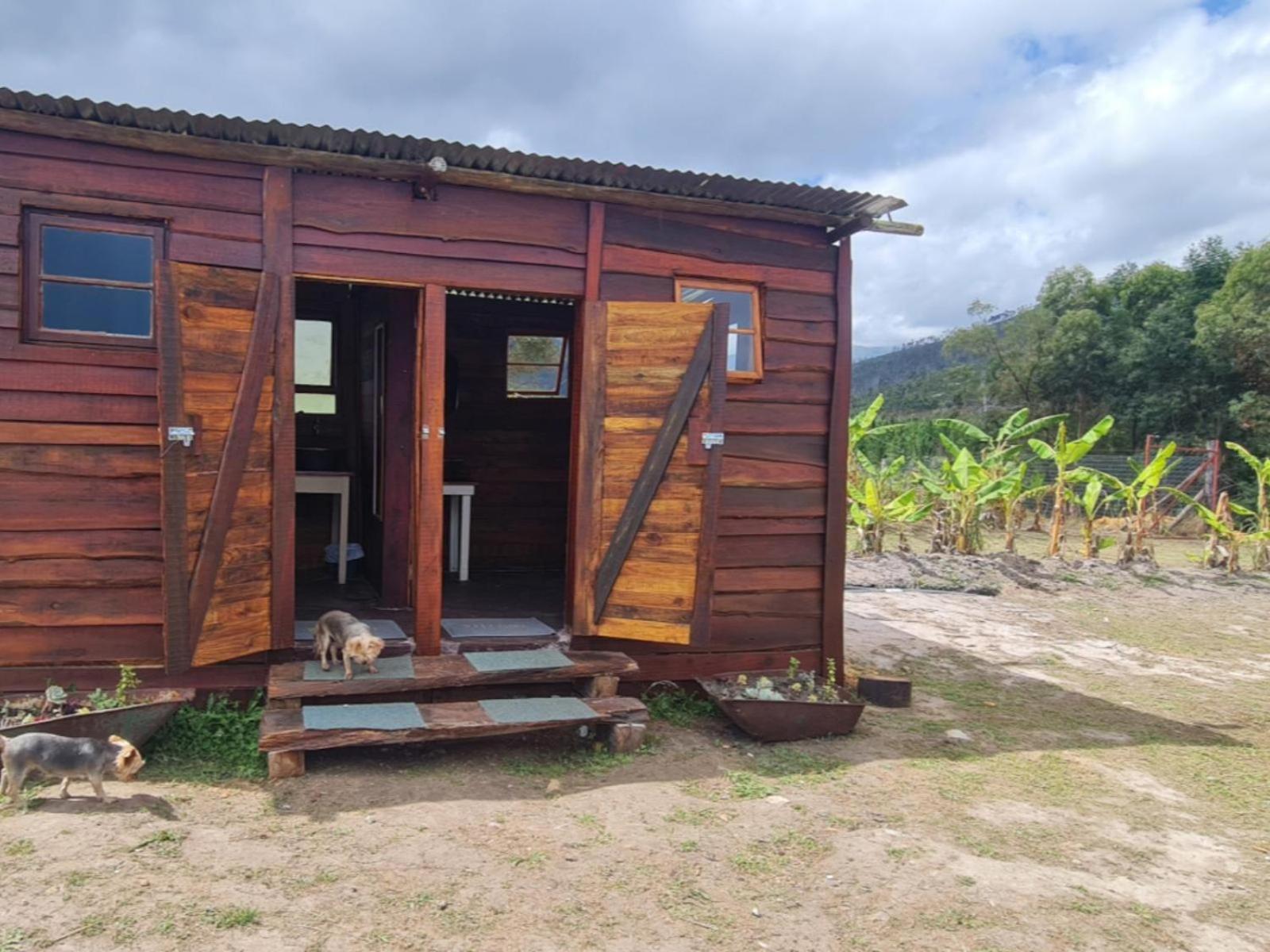 Tsitsikamma Wolf Sanctuary Eco Cabins & Teepees Stormsrivier Habitación foto