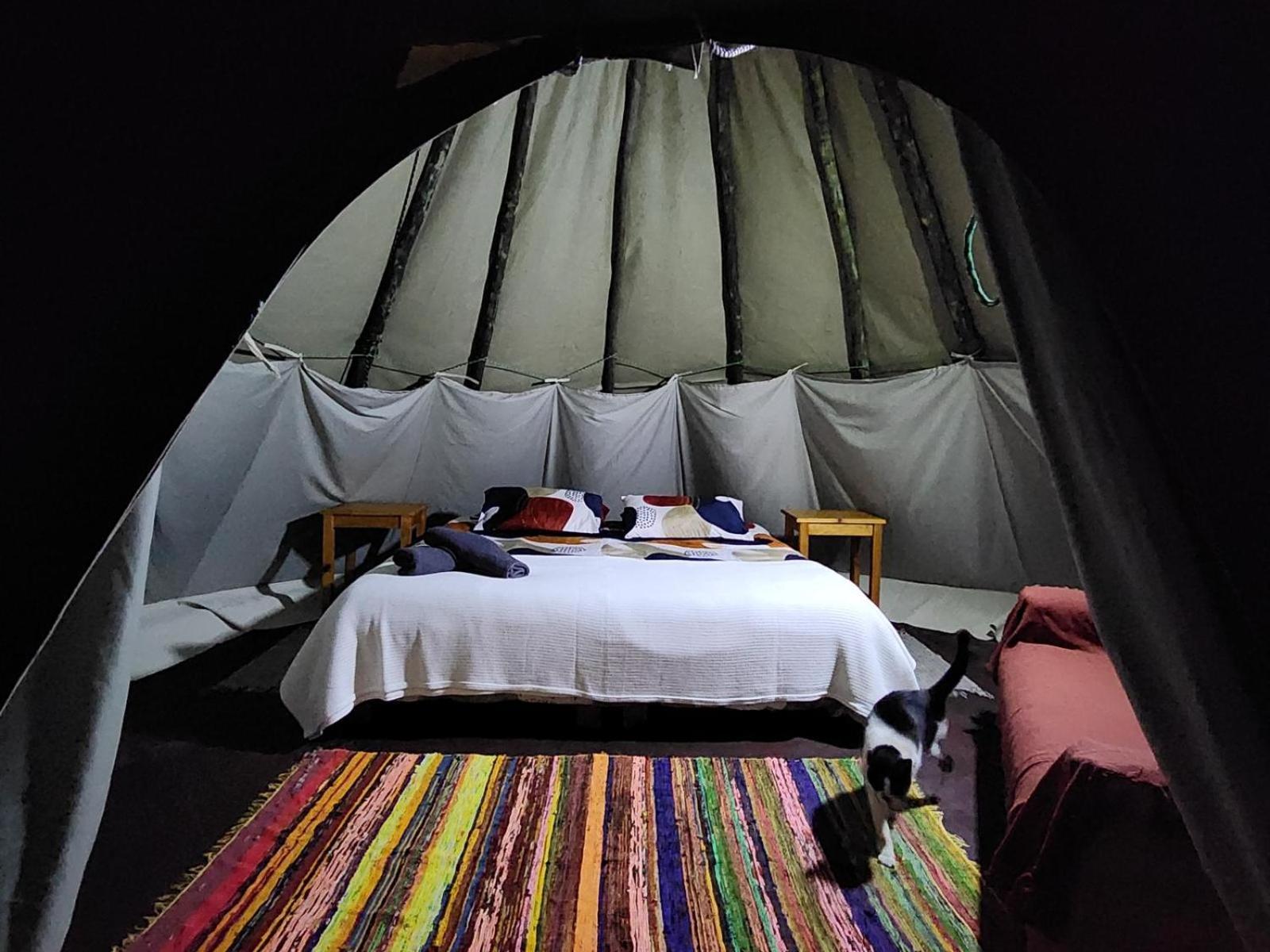 Tsitsikamma Wolf Sanctuary Eco Cabins & Teepees Stormsrivier Habitación foto